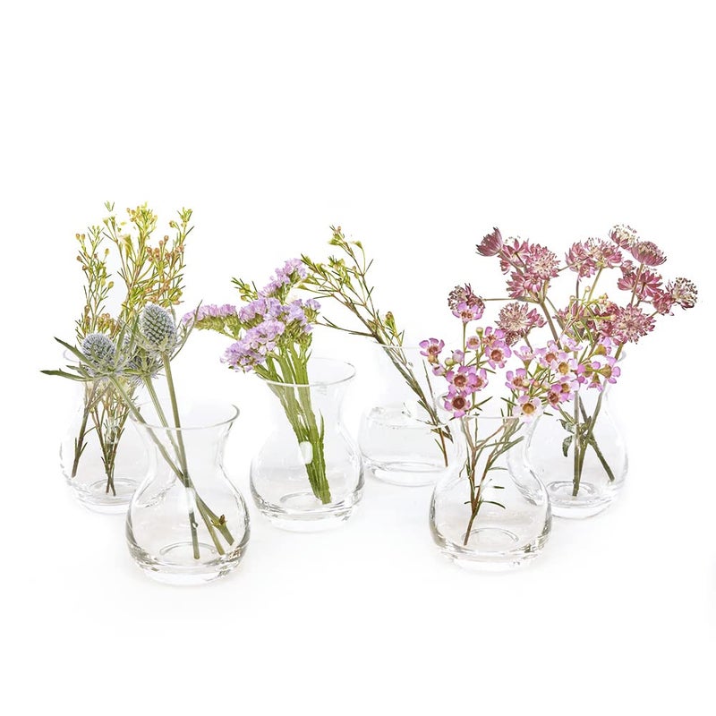 CHIVE â€˜Georgeâ€™ Glass Bottle Flower Vases â€” Set of 6 â€” Small, Elegant Clear Glass Bud Vases â€” Bulk Pack for Home Decor & Table Centerpieces â€” Shape 4 (Oval, 4â€ Tall, 3â€ Wide) - Image 1