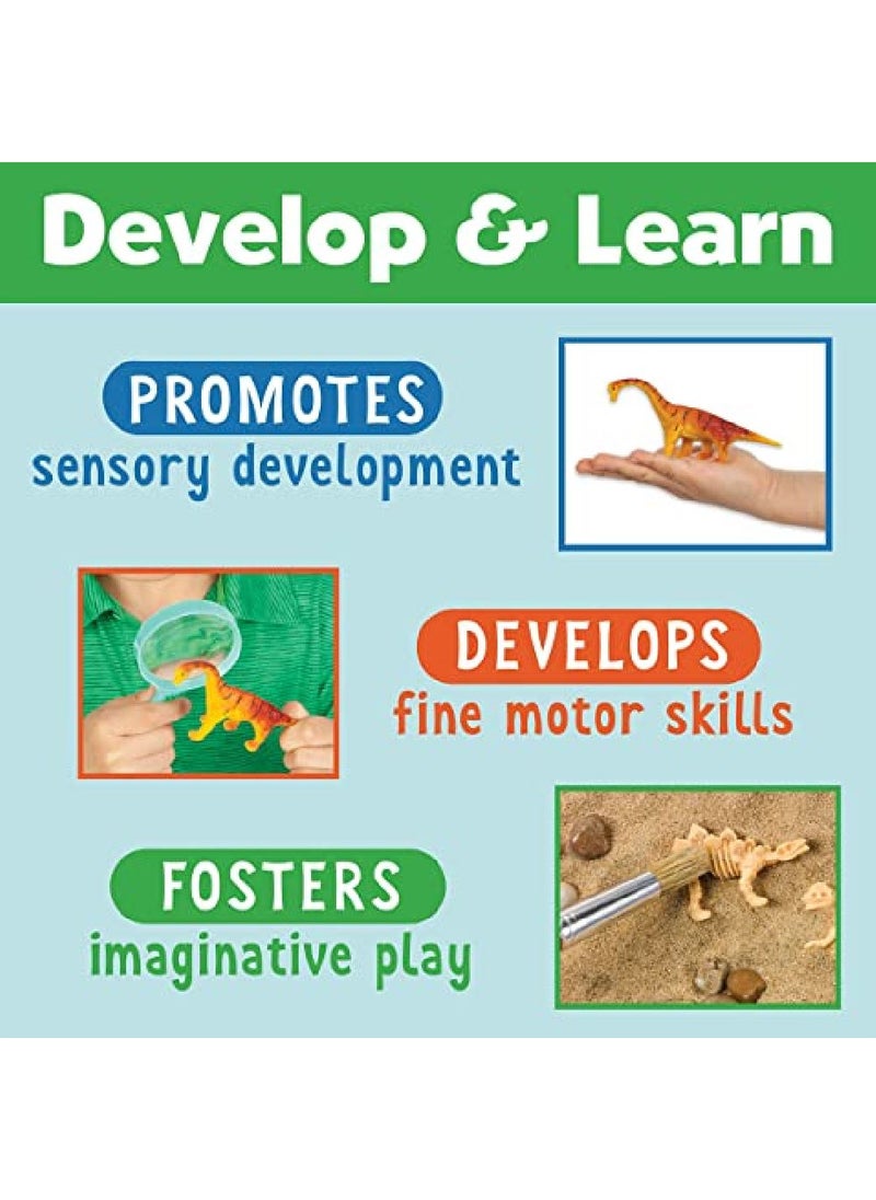 Creativity for Kids صندوق حس الإبداع للأطفال - حفر الديناصورات  - Image 3