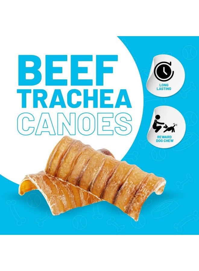 Sitka Farms Beef Trachea Canoes 3" Split Trachea - 30 Count - 100% Natural Source of Glucosamine & Chondroitin - High Protein Premium Dog Treat for Small Medium & Large Dogs - Image 2