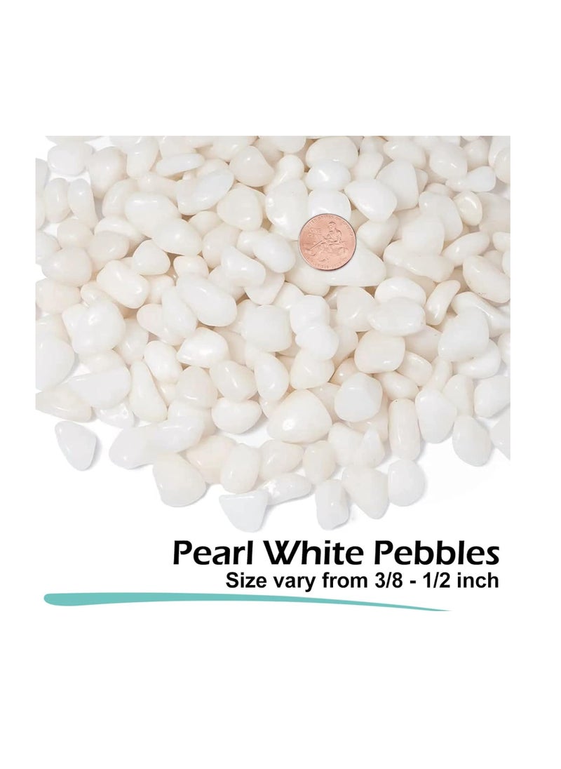 20kg Polished Natural White Pebbles with a size of 6-8 mm, ideal for garden landscaping and fish tank vases - pzsku/ZBF9377283EF5693809F6Z/45/_/1711533532/b7728c48-2b34-4600-8a71-34487df2196d