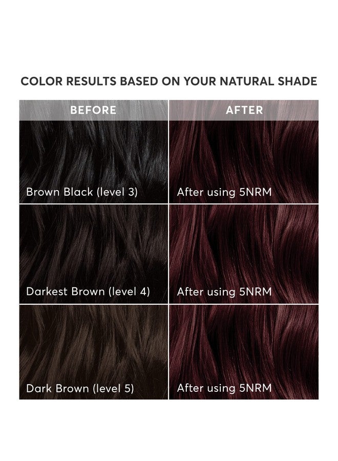 Madison Reed Radiant Hair Color Kit, Permanent Hair Dye, 100% Gray Coverage, Ammonia-Free, Trieste Red 5NRM Dark Mahogany red, Pack of 1 - Image 4