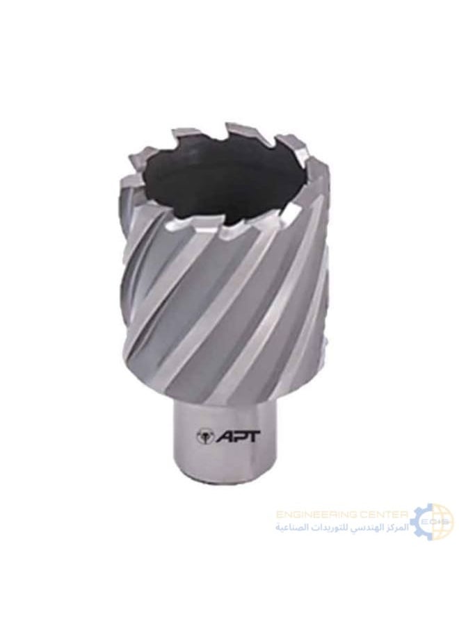 Apt Magnetic bit 55mm x 3cm APT HSS-XE 