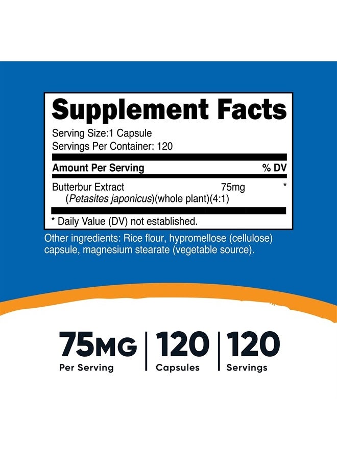Nutricost كبسولات مستخلص زهر البتولا (75 ملغ) 120 كبسولة - خالية من الغلوتين، غير معدلة وراثيًا، مناسبة للنباتيين - Image 2
