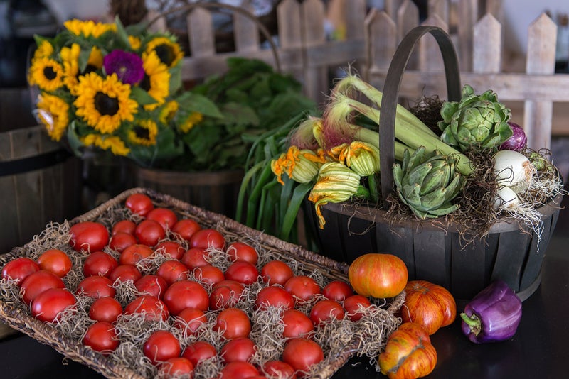 SuperMoss (26911) Spanish Moss Dried, Natural, 8 Ounces - Image 5