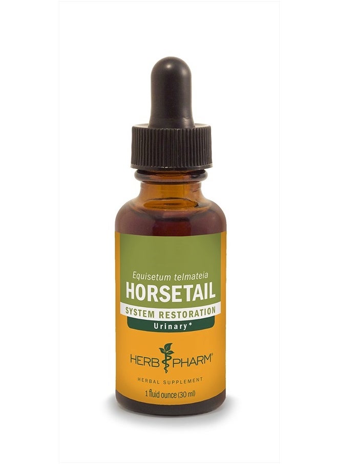 HERB PHARM Horsetail Liquid Extract for Urinary System Support - 1 Ounce  - Image 1