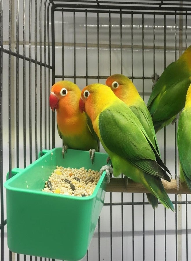 DQITJ 18 Pcs Bird Plastic Feeder, Seed Food Cage Hanging Food Bowl Feeding Dish for Poultry Pigeon Parrot Parakeet Budgie - Image 2