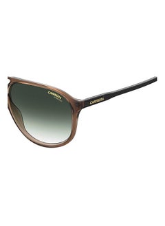 Carrera Full Rim Aviator Frame Sunglasses CARRERA 257/S 009Q 9K - Lens Size: 60mm - Brown Large  - Image 4