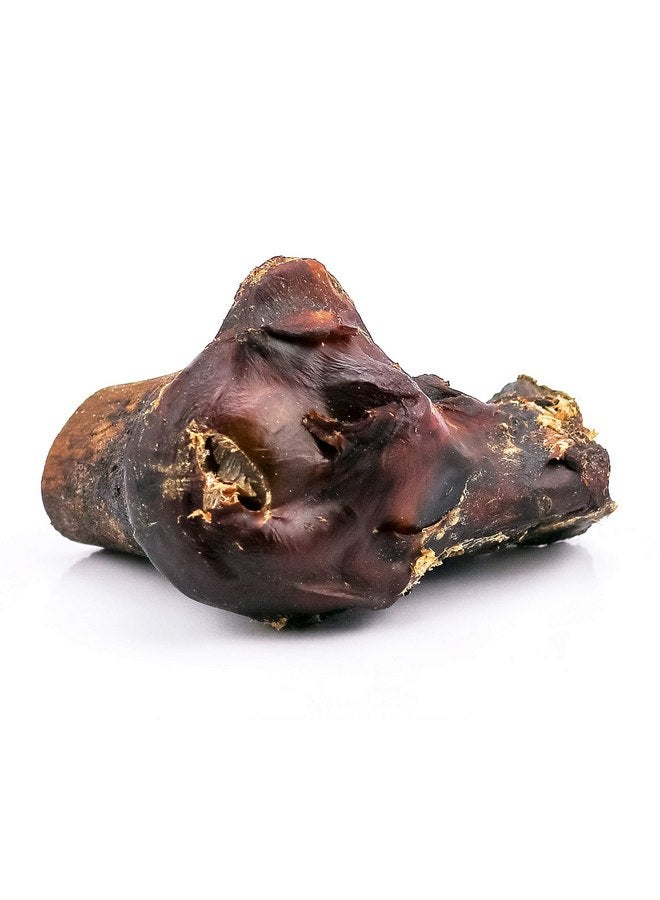 ROAM Pet Treats Large Gnaw-Kle Ostrich Knuckle Dog Chew for Medium to Large Dogs, 10.2 Ounce (Pack of 3) - Image 2