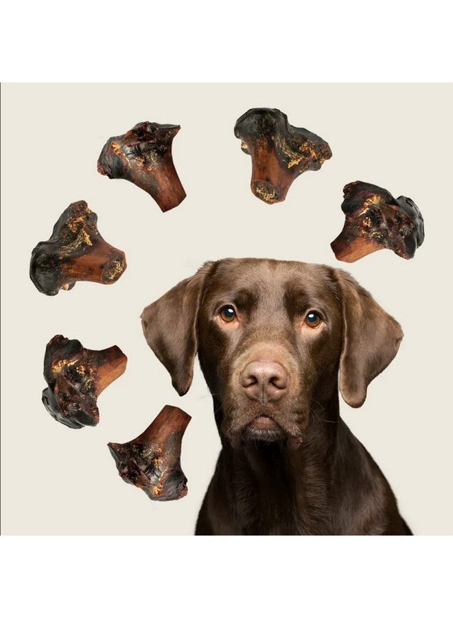 ROAM Pet Treats Large Gnaw-Kle Ostrich Knuckle Dog Chew for Medium to Large Dogs, 10.2 Ounce (Pack of 3) - Image 5