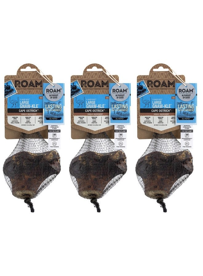 ROAM Pet Treats Large Gnaw-Kle Ostrich Knuckle Dog Chew for Medium to Large Dogs, 10.2 Ounce (Pack of 3) - Image 1