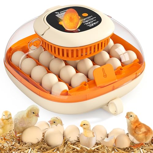 Chickcozy 25 Egg Incubator Automatic Egg Turner with Thermometer Seat and Humidity Control Egg Candler 360 View with Clear Window Incubators for Hatching Chicks Sunlit Orange - Image 1