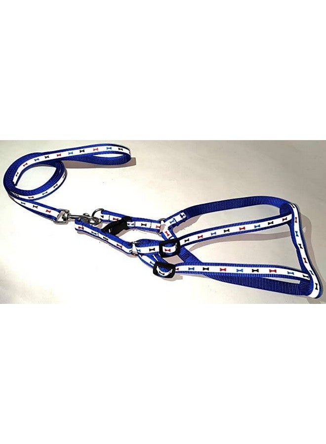 مجموعة حزام عاكس مطبوع من النايلون الناعم ومقود بإبزيم قابل للتعديل مع حلقة معدنية على شكل حرف D للكلاب الصغيرة والجراء والقطط والقطط الصغيرة - 0.5 بوصة (أزرق) - Image 3