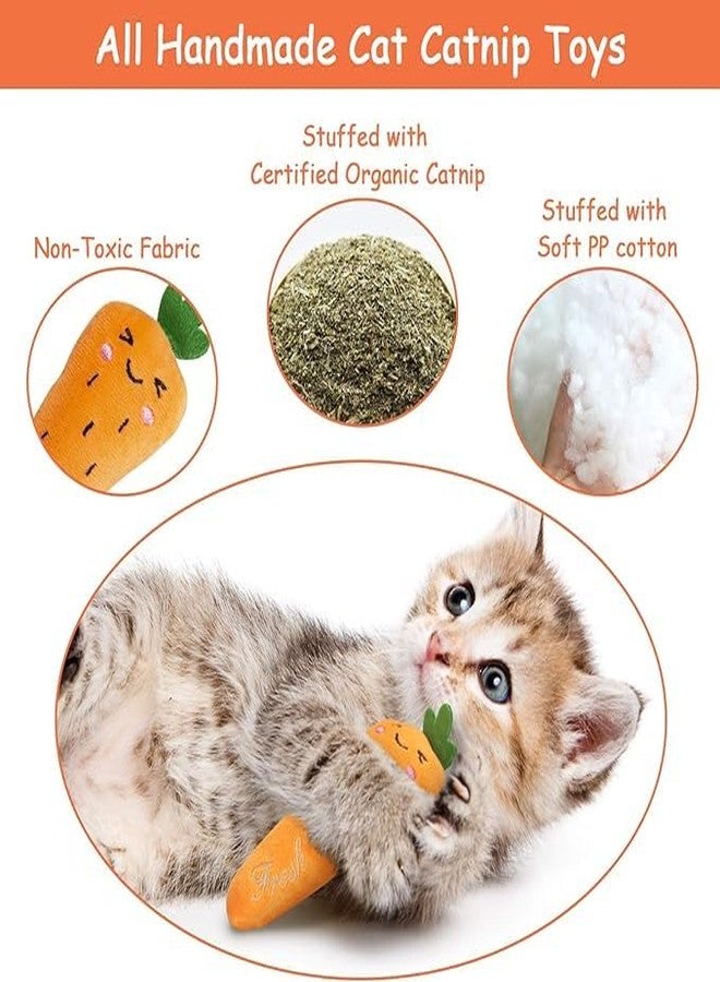 PETANGEL 5Pcs Bite Resistant Catnip Toys, Farm Theme Catnip Toys Filled Cat Teething Chew Toy, Interactive Kitten Exercise Kicker Toys for Indoor Cats, Cat Pillow Toys - Image 2