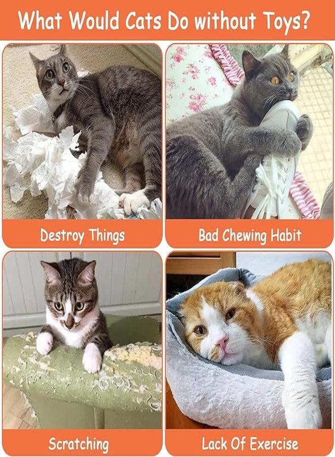 PETANGEL 5Pcs Bite Resistant Catnip Toys, Farm Theme Catnip Toys Filled Cat Teething Chew Toy, Interactive Kitten Exercise Kicker Toys for Indoor Cats, Cat Pillow Toys - Image 5