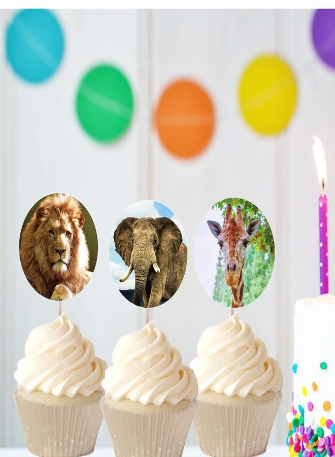 Hohamn Zoo Animals Stickers for Kids,500pcs Round Jungle Animal Stickers for Boys Girls Birthday Party Favor, 1.5 Inch - Image 4