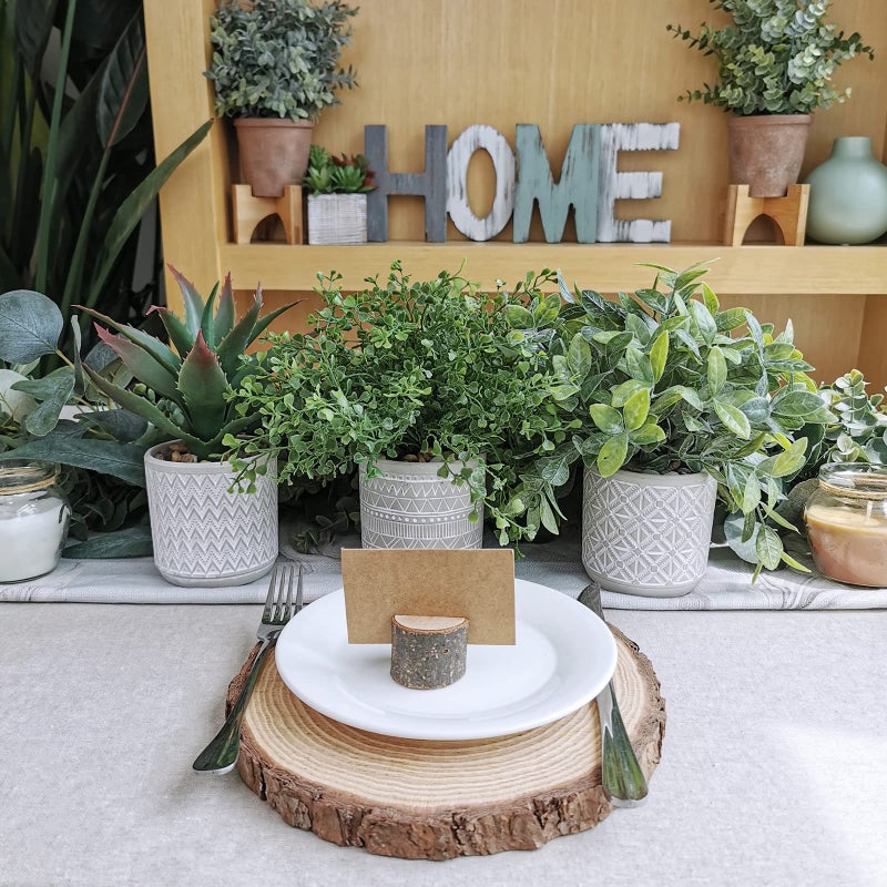 Winlyn Set of 3 Assorted Small Potted Plants Fake Eucalyptus Boxwood Plants and Aloe Succulent Plant in Gray Geometric Concrete Ceramic Pots for Gifts Home Kitchen Table Desk Indoor Outdoor Greenery Decor  - Image 3