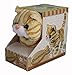 Westminster Casanova The Mechanical Kitten Orange Striped - Image 3