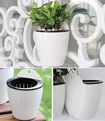 CAPPL Self Watering Flowering Pot | Hanging Planter for Plants (White) Pack of 3 - Image 4