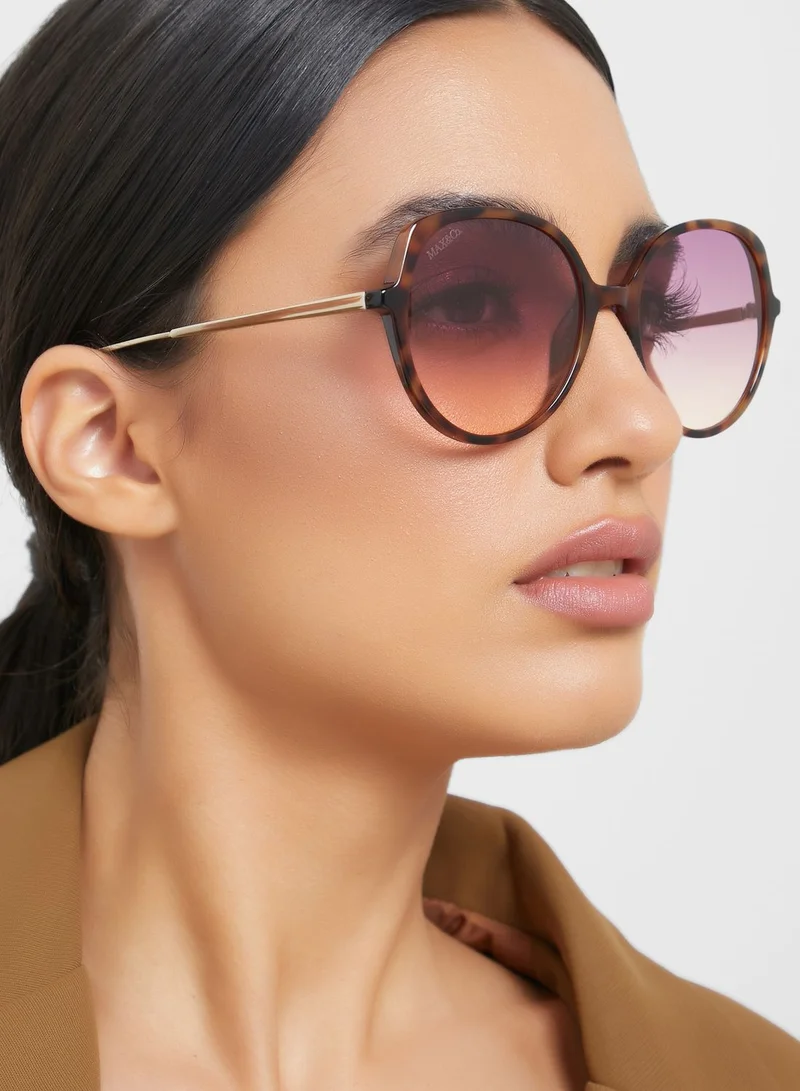 ماكس اند كو نظارة شمسية بإطار كبير الحجم