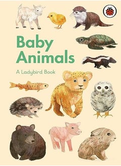 A Ladybird Book: Baby Animals - pzsku/ZBFA042EEC8ADD2BE0559Z/45/_/1695819609/0010a33f-48f4-4d48-82ab-e59cf457e1b8