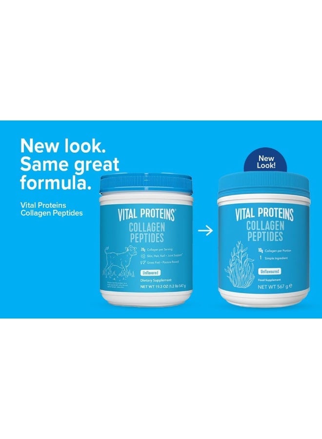 Vital Proteins ببتيدات الكولاجين 567 جرام – بدون نكهة - Image 3