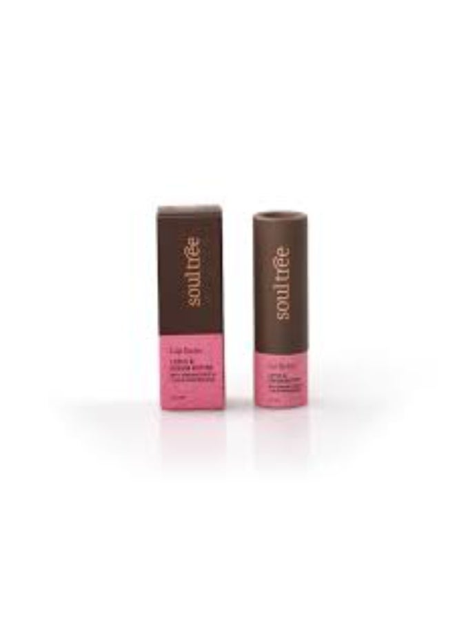 SoulTree Ayurvedic Lip Balm - Lotus and Kokum Butter | Heal & Moisturise Lips | Natural Lip Care for Soft, Nourished Lips with Soothing Lotus and Kokum Butter-3.5gm - Image 2