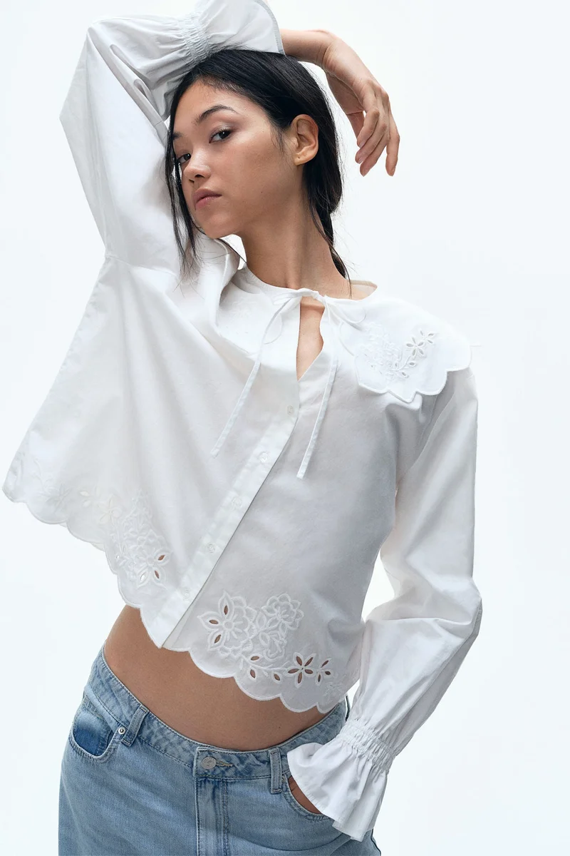 H&M Embroidered Peter Pan-collared blouse