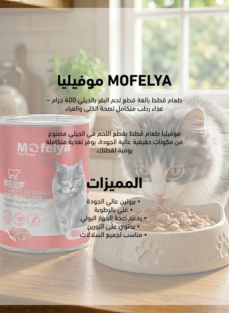 MOFELYA Adult Cat Food, Wet Beef Jelly, 3-Piece Set, 1200g - Wet Cat Food - Image 3