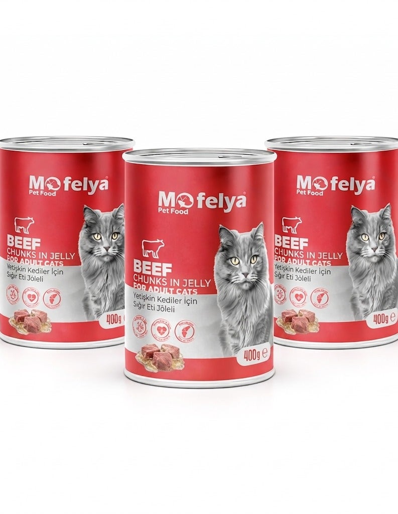 MOFELYA Adult Cat Food, Wet Beef Jelly, 3-Piece Set, 1200g - Wet Cat Food - Image 1
