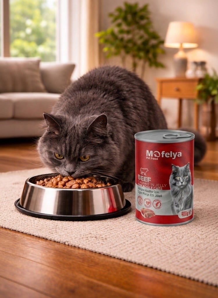 MOFELYA Adult Cat Food, Wet Beef Jelly, 3-Piece Set, 1200g - Wet Cat Food - Image 2