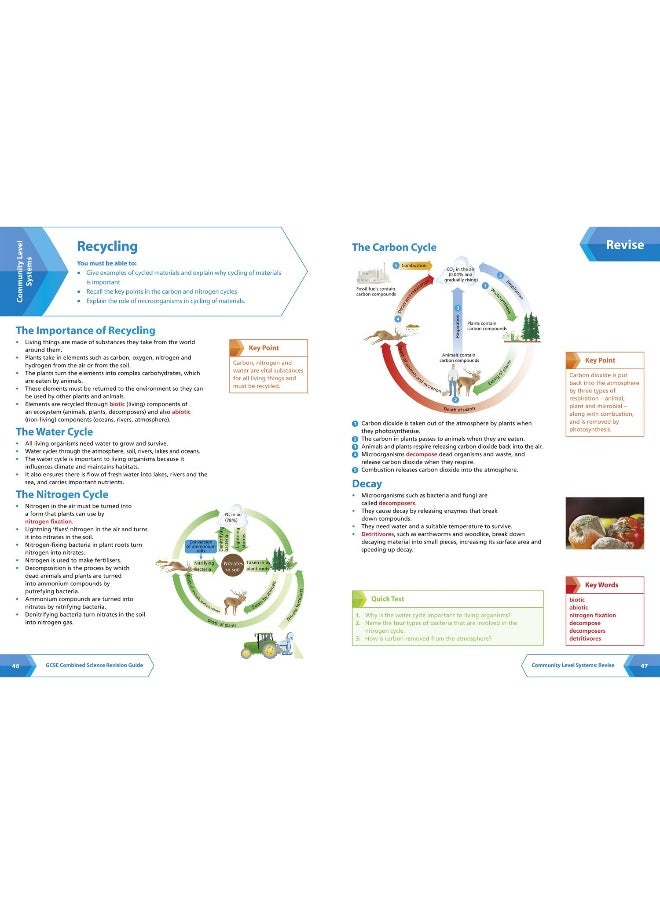 Collins OCR GCSE Revision: Combined Science: Combined Science Foundation OCR Gateway GCSE All-In-One Revision & Practice