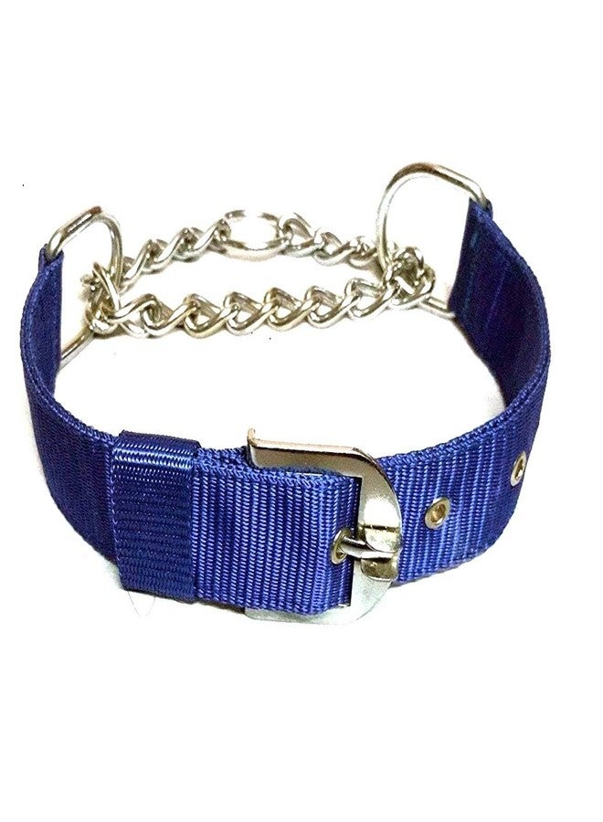 MS Petcare Dog Choke Pet Nylon Half Chain Collar Half Choker Stainless Steel Dogs Collars (Width- 0.75In Neck Size 18" to 22" Inch, Blue Color) for Small & Medium Breed Dogs - Image 1