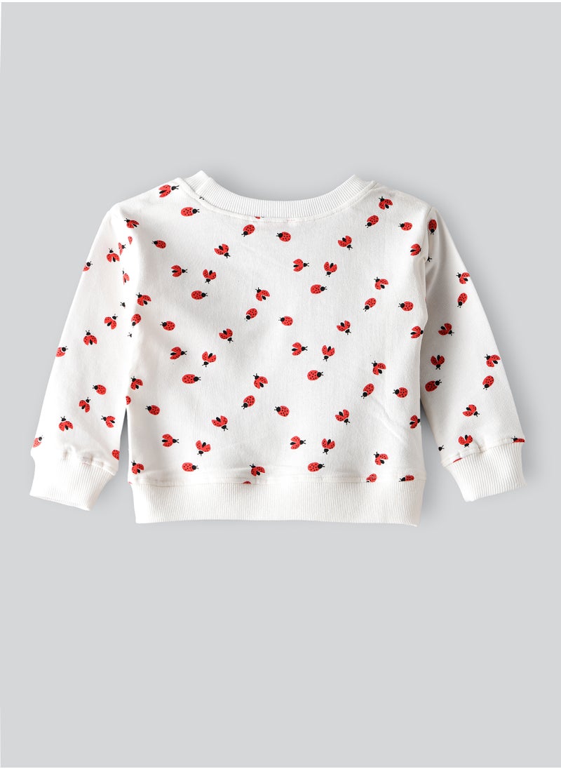 Jelliene Jelliene Girls Cotton Sweatshirt, Soft and Comfortable Cotton Sweatshirt for Girls, Breathable and Skin-Friendly, Perfect for Everyday Wear  - Image 2