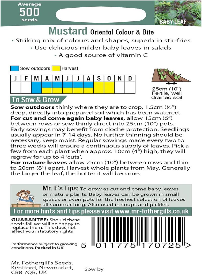 GGOOT 16955 Vegetable Seeds, Mustard Colour & Bite, Yellow - Image 2