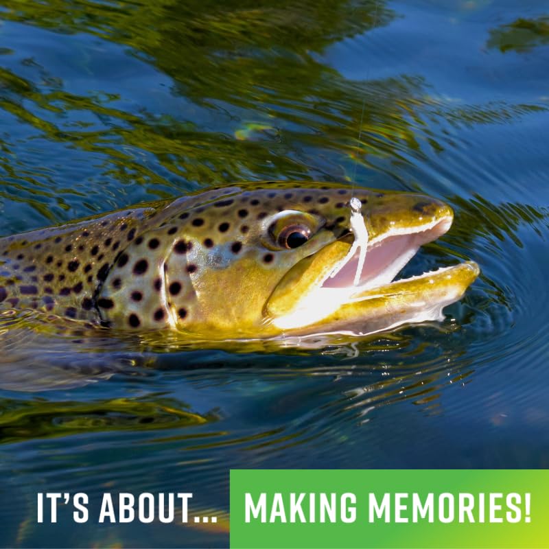 Trout Magnet TNT Kit 82Piece Set with 70 Soft Plastic Bodies 12 Jig Heads Top 7 Hot Colors Includes 164oz ShadDart Heads in Gold Black Silver Chartreuse Ultimate Trout Fishing Lure - Image 3