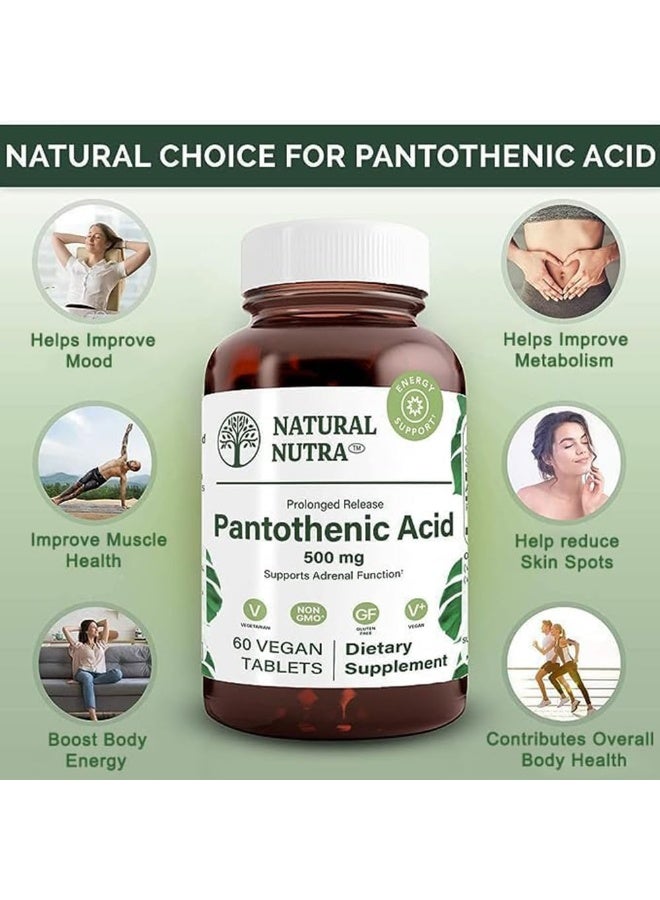 Natural Nutra Pantothenic Acid 500 mg Dietary Supplement for Energy Support - Image 3