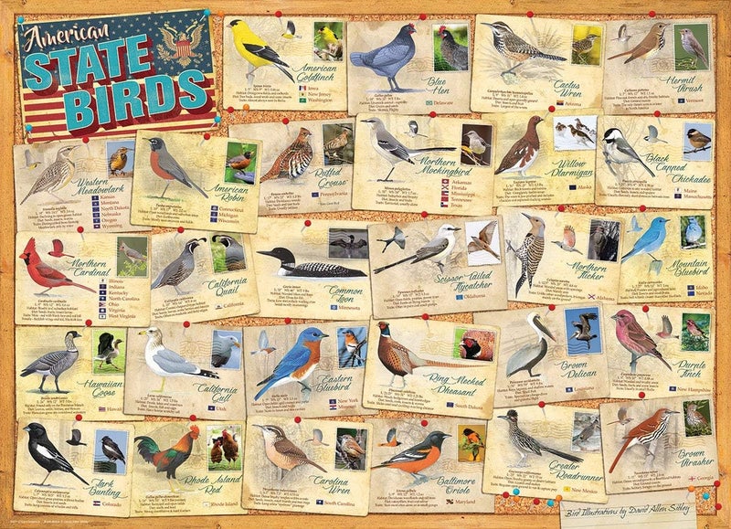 eurographics American State Birds by David Sibley - Image 2