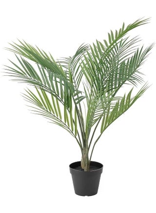 Artificial Tree Simulation Palm Tree Natural Texture Height 70Cm - pzsku/ZBFAA449A19491AC7DC2DZ/45/_/1741543478/54d5d115-7e01-45d4-8b43-f85edf1a8d59