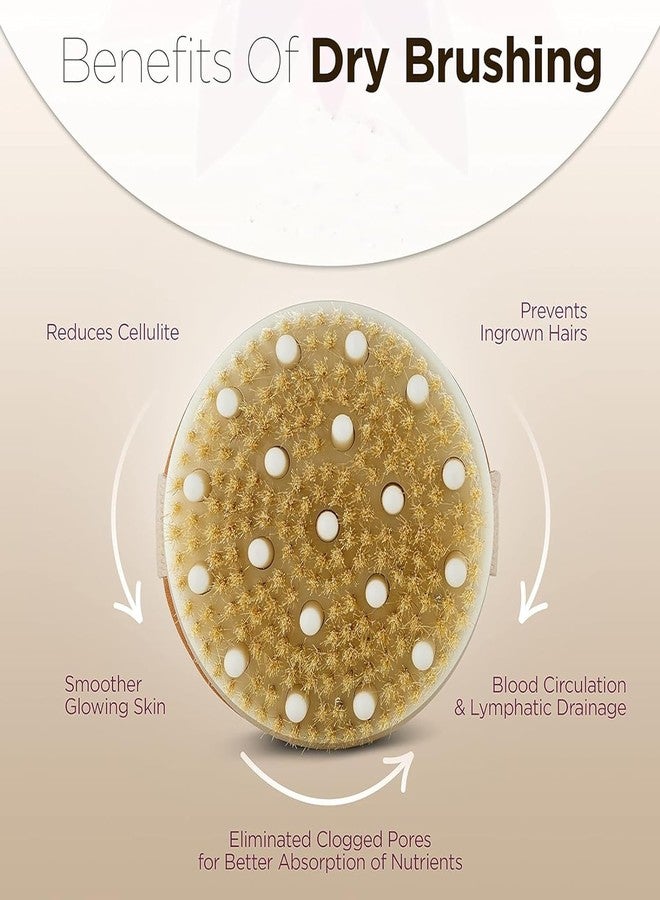 SUNDAY Dry Body Brush for Beautiful Skin - Solid Wood Frame & Boar Hair Exfoliating Brush to Exfoliate & Soften Skin, Improve Circulation, Stop Ingrown Hairs, and Reduce The Appearance Cellulite - Image 5