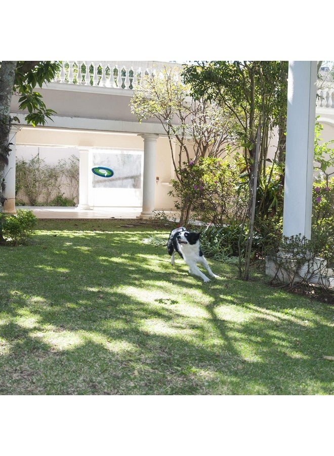 Chuckit! Lite Flight Dog Fetch Toy, Large (10 Inch Diameter) - Image 3