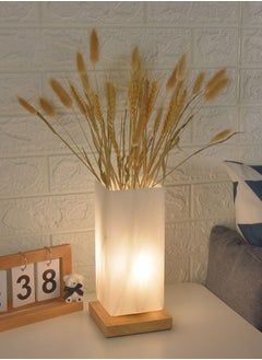 XiuWoo Desk Lamp Table Lamp Bedside Vase Shaped Lamp Modern Nightstand Light Night Lamp for Home Bedroom Living Room Office  - Image 1