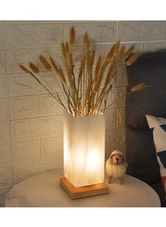 XiuWoo Desk Lamp Table Lamp Bedside Vase Shaped Lamp Modern Nightstand Light Night Lamp for Home Bedroom Living Room Office  - Image 5