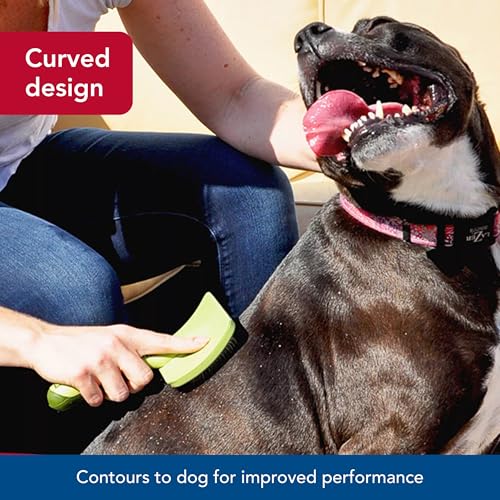 Coastal Pet Safari Curved Firm Slicker Brush - For Dog Grooming and Detangling All Hair Types - 6.5" x 3.06" - Image 4
