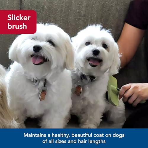 Coastal Pet Safari Curved Firm Slicker Brush - For Dog Grooming and Detangling All Hair Types - 6.5" x 3.06" - Image 3