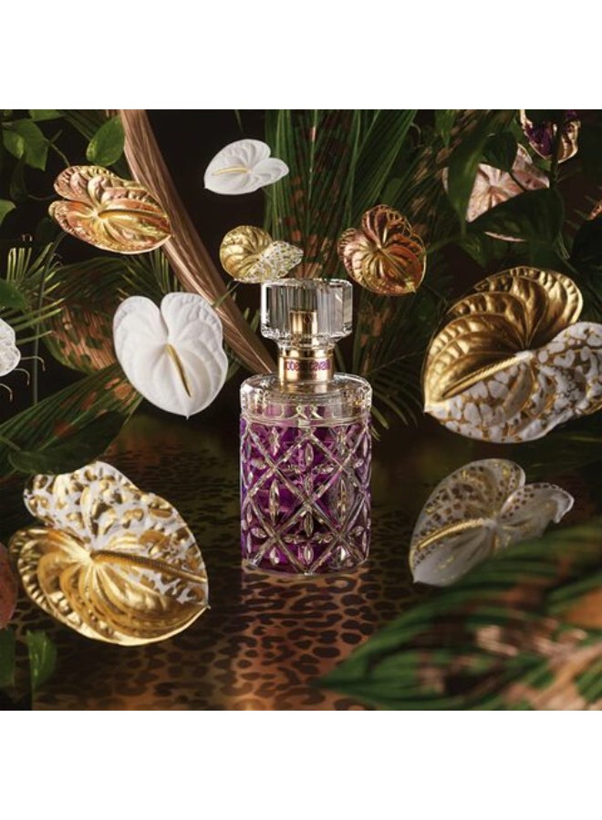 DESTINO PARIS Aurora Eau De Parfum 100Ml