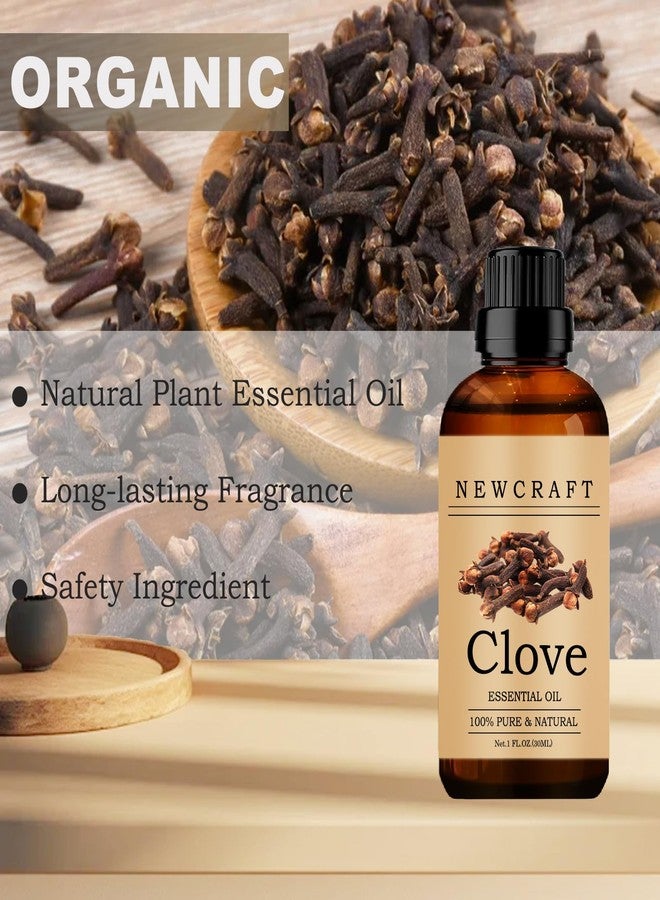 NewCraft Clove Essential Oils, 100% Pure and Natural Essential Oil for Aromatherapy Diffuser - Clove/1 Fl Oz - Image 2
