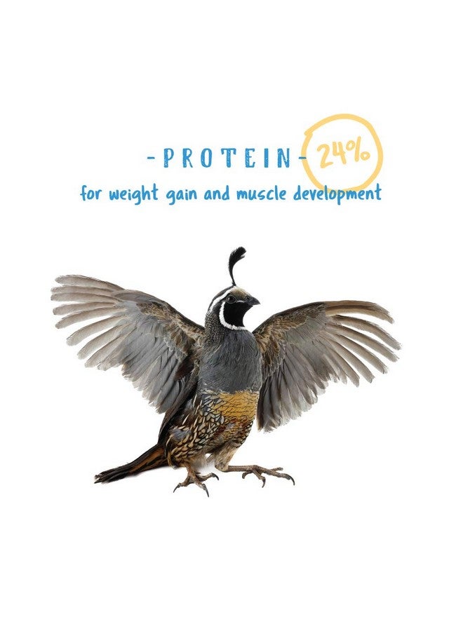 مانا برو فتات طعام الطيور البرية | مُركَّبة بالفيتامينات والمعادن | 5 أرطال - Image 3