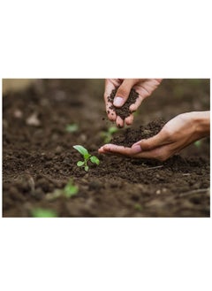 Vsell24 1.5KG Bio Tech Potting Soil With Micro Nutirients For Indoor And AC Rooms Soil For Home Gardens Made In UAE (5L)