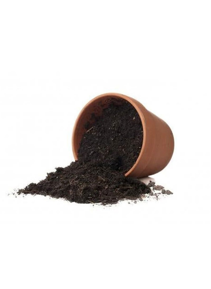 vsell24 - Vsell24 1.5KG Bio Tech Potting Soil With Micro Nutirients For Indoor And AC Rooms Soil For Home Gardens Made In UAE (5L) - Image 1