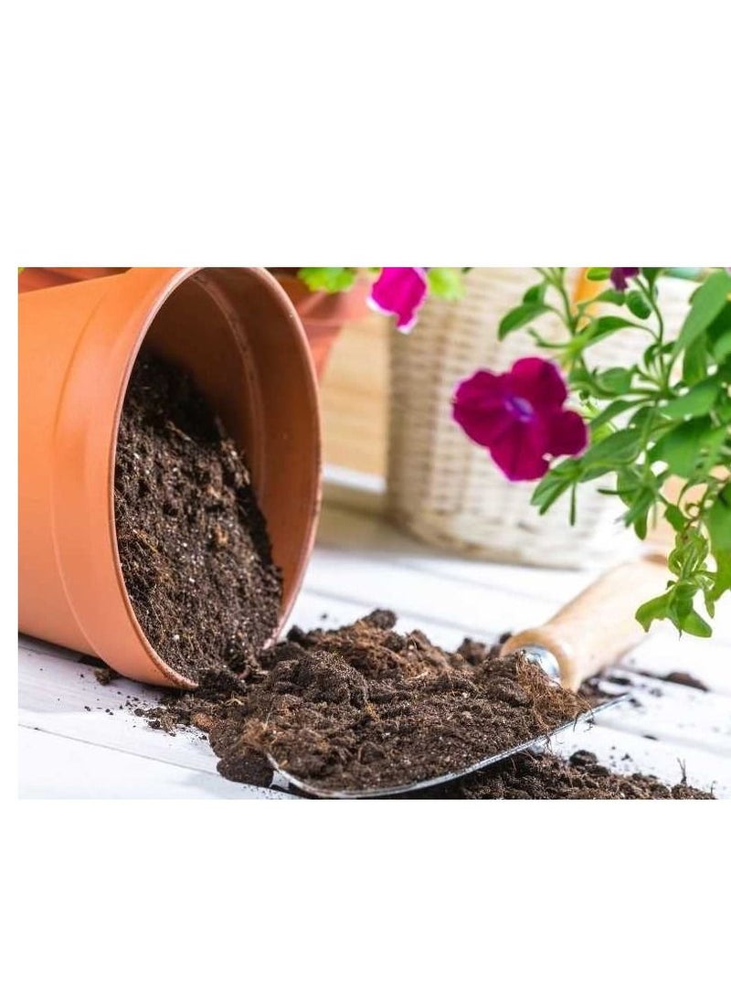 vsell24 - Vsell24 1.5KG Bio Tech Potting Soil With Micro Nutirients For Indoor And AC Rooms Soil For Home Gardens Made In UAE (5L) - Image 1
